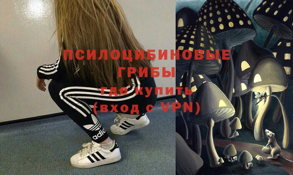 эйфоретик Белокуриха