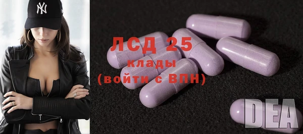 эйфоретик Белокуриха