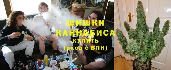 эйфоретик Белокуриха