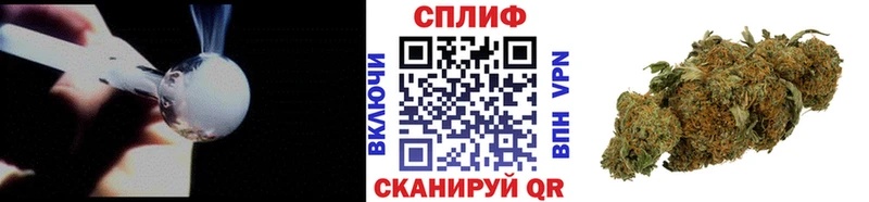 Бошки марихуана индика  Купить закладки  Муравленко 